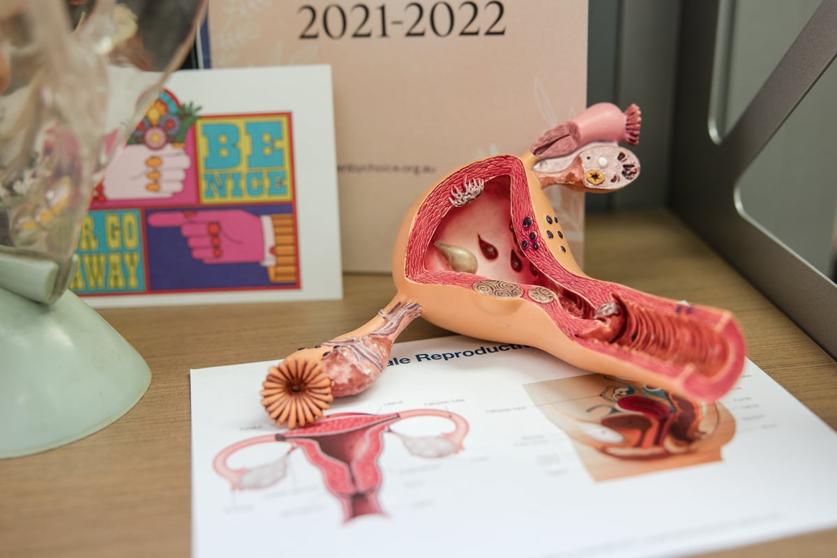 Anatomical Uterus Diagram Close-up